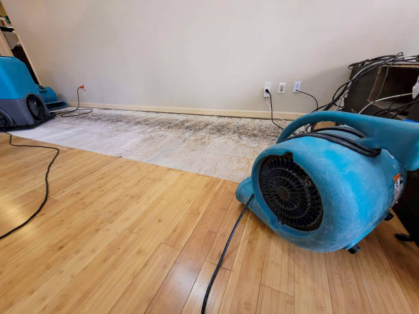 Professional Structural Drying technician working in Rosburg, WA